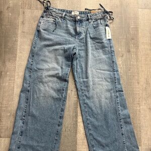 NWT Pacsun Casey Low Rise Baggy Jeans